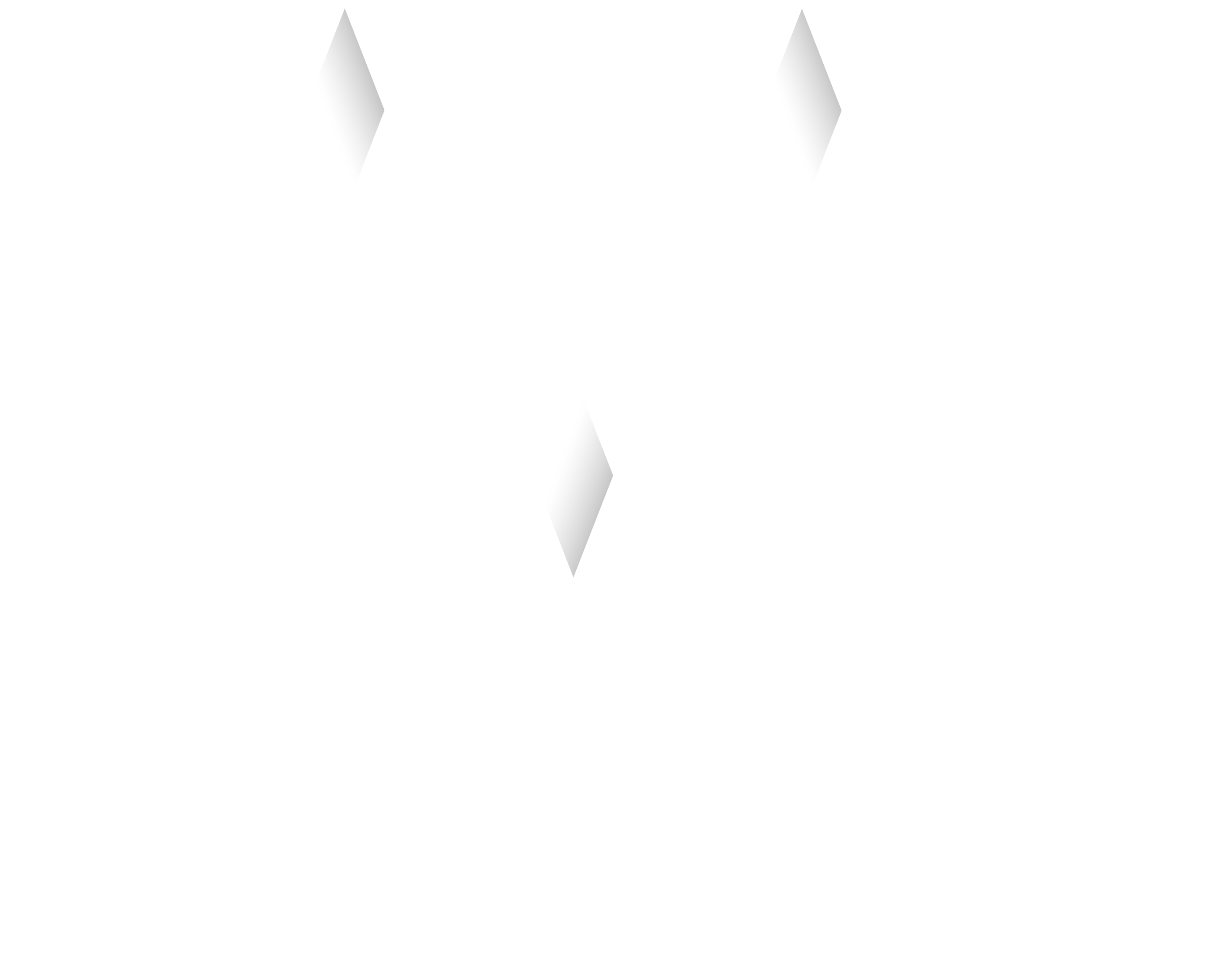 Acone Associati